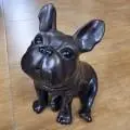 Новинка! Французький бульдог...